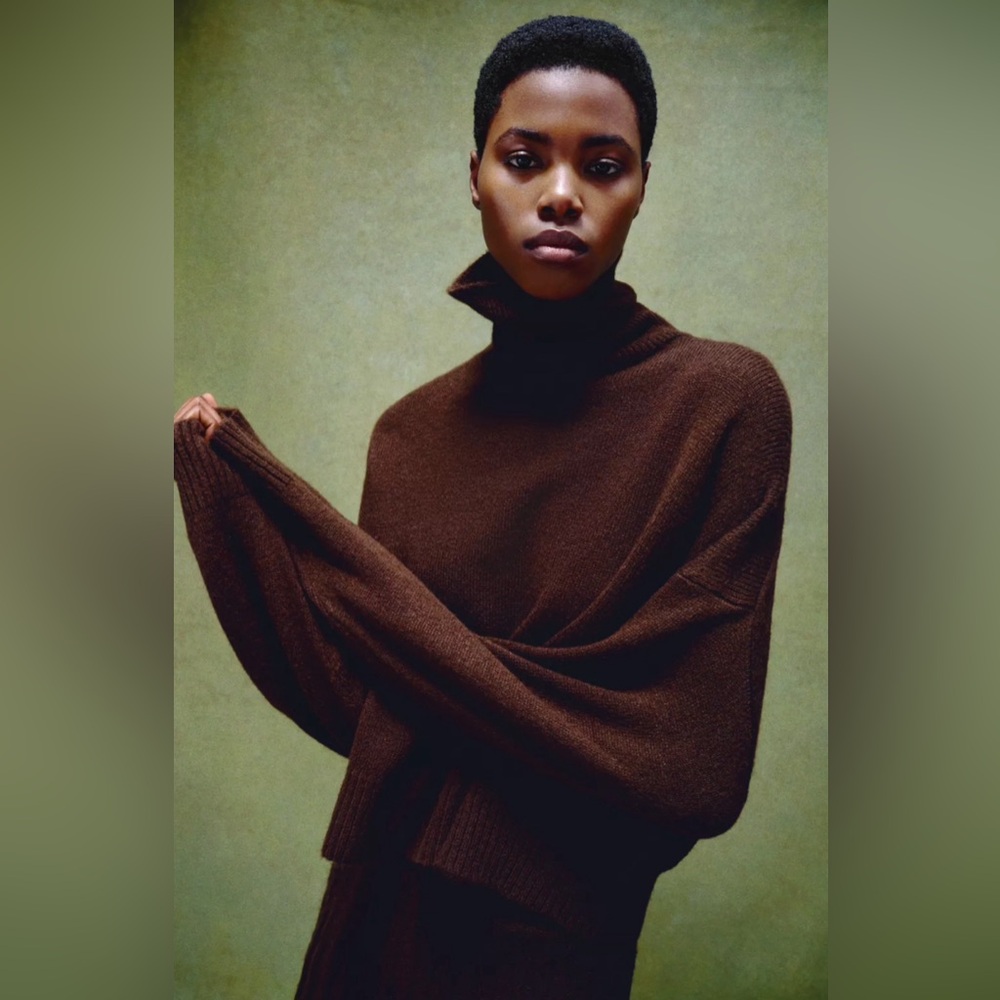 Zara TWO PIECES Elegant Brown Turtleneck Sweater and pleated skirt S Large❣️